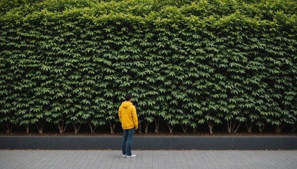 Optimisez la gestion des files d'attente grâce à synbird